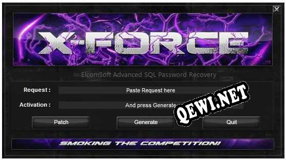 ElcomSoft Advanced SQL Password Recovery ключ бесплатно